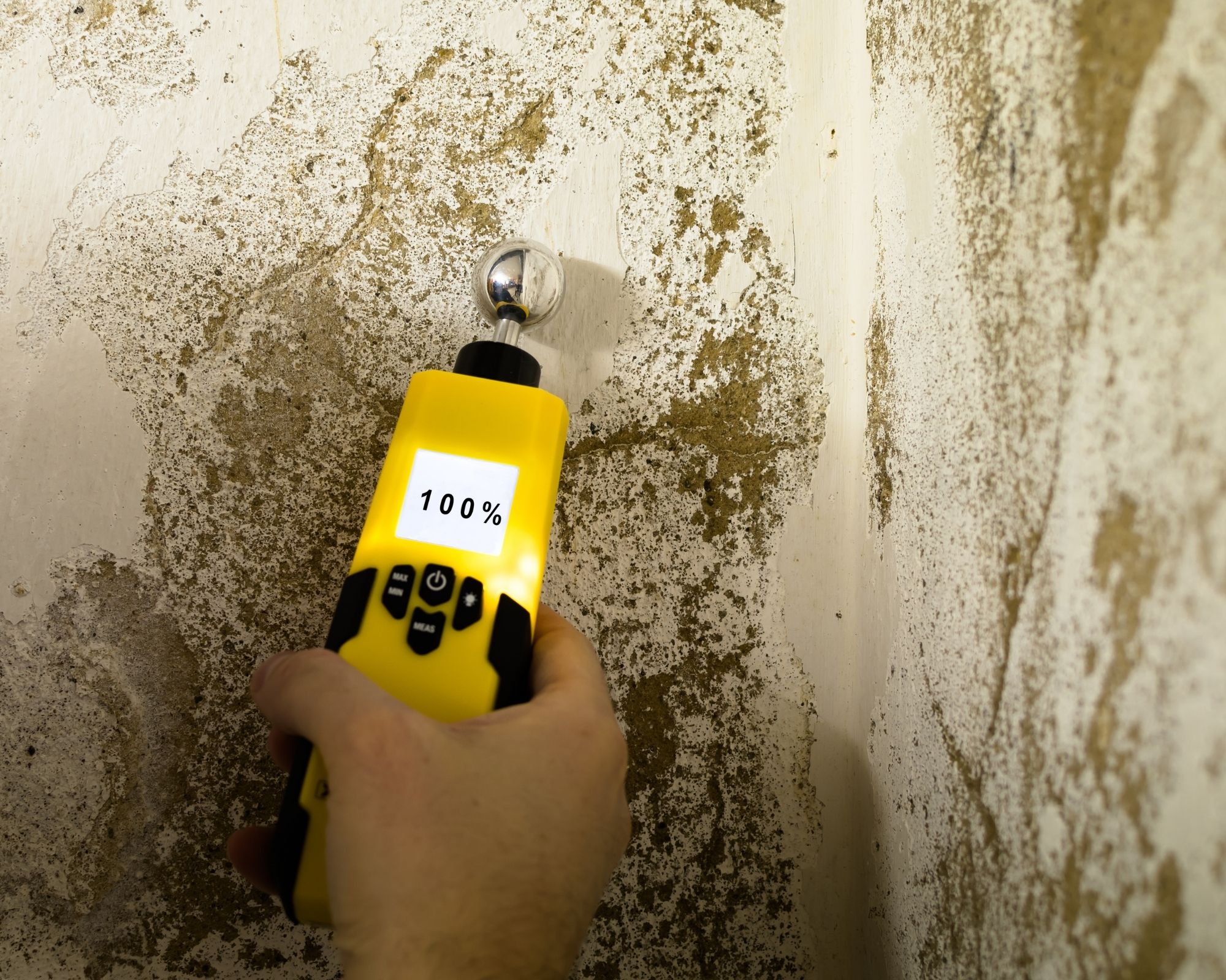 Expertise humidité maison et appartement expertise humidité